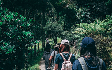 Lorem ipsum dolor sit amet consec tetur ipsum Lorem?