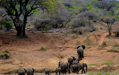 Lorem ipsum dolor sit amet consec tetur ipsum Lorem?